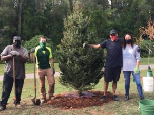 Public Hearing on 11/7 at 7:30 pm – Zoning Ordinance Amendments to 74-605 Tree and woodland resource preservation