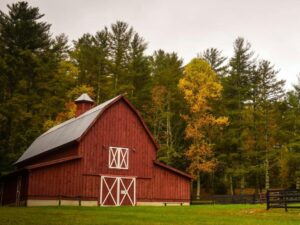 Farmer and Agricultural Listening Session with Sue Shink